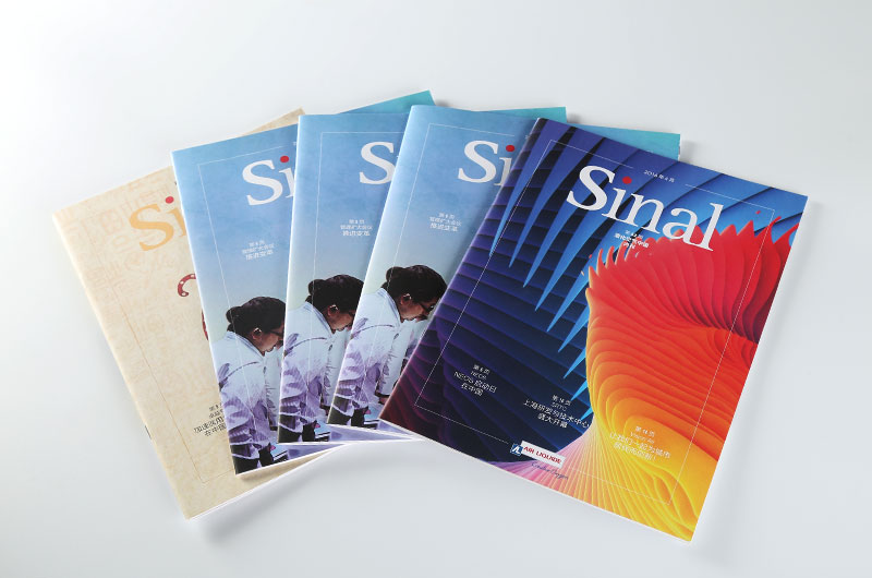 sinal8.jpg